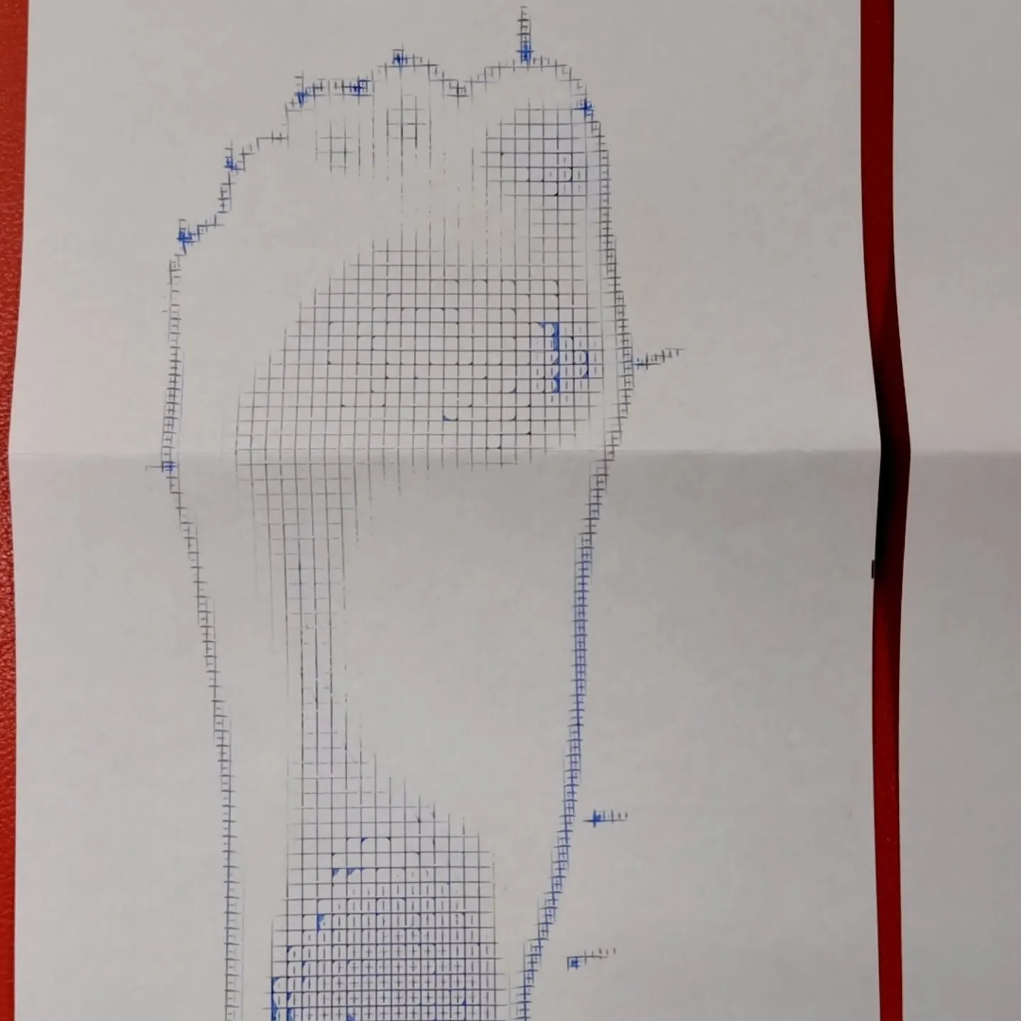 11月23日(日)富田石油様のマルシェに参加します！毎年マル...